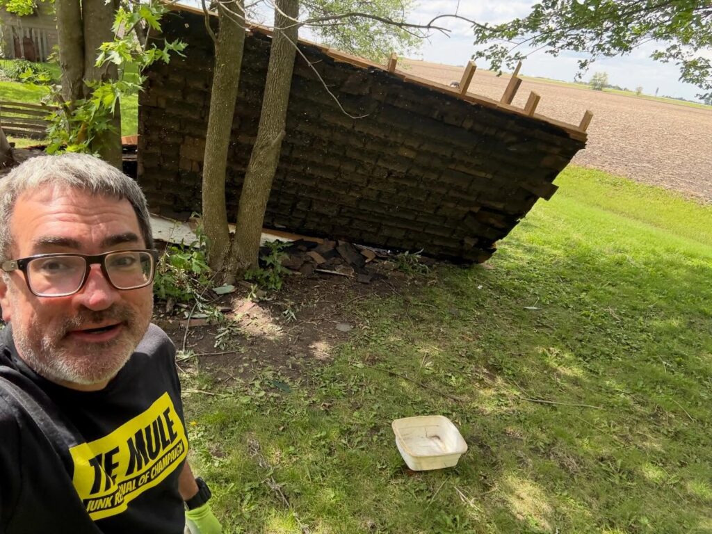 A man in a "The Mule" t-shirt standing in front of a collapsed wooden shed structure being prepared for removal in a rural yard.
